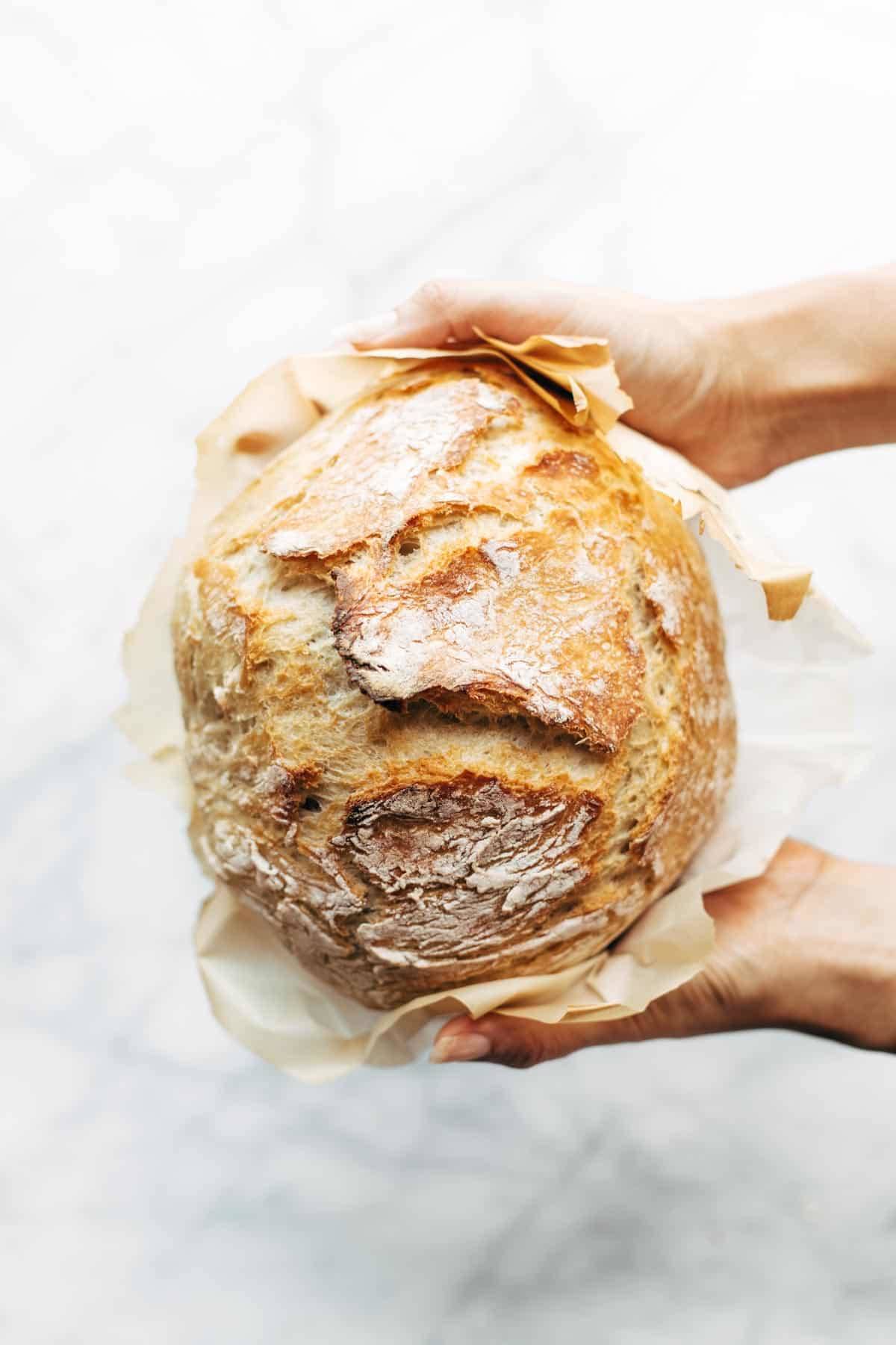 White hands holding homemade no knead bread. 